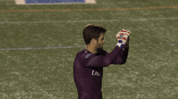 soccer fist pump GIF by New York Cosmos