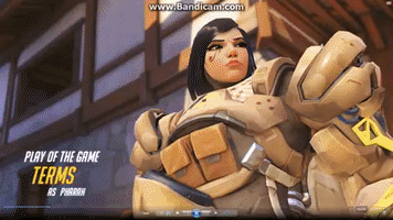 terms  GIF