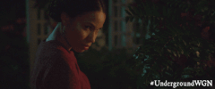 serious wgn america GIF by Underground