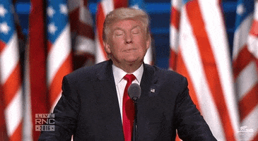 Donald Trump Reaction GIF by Election 2016