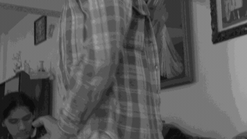 videoperronegro  GIF