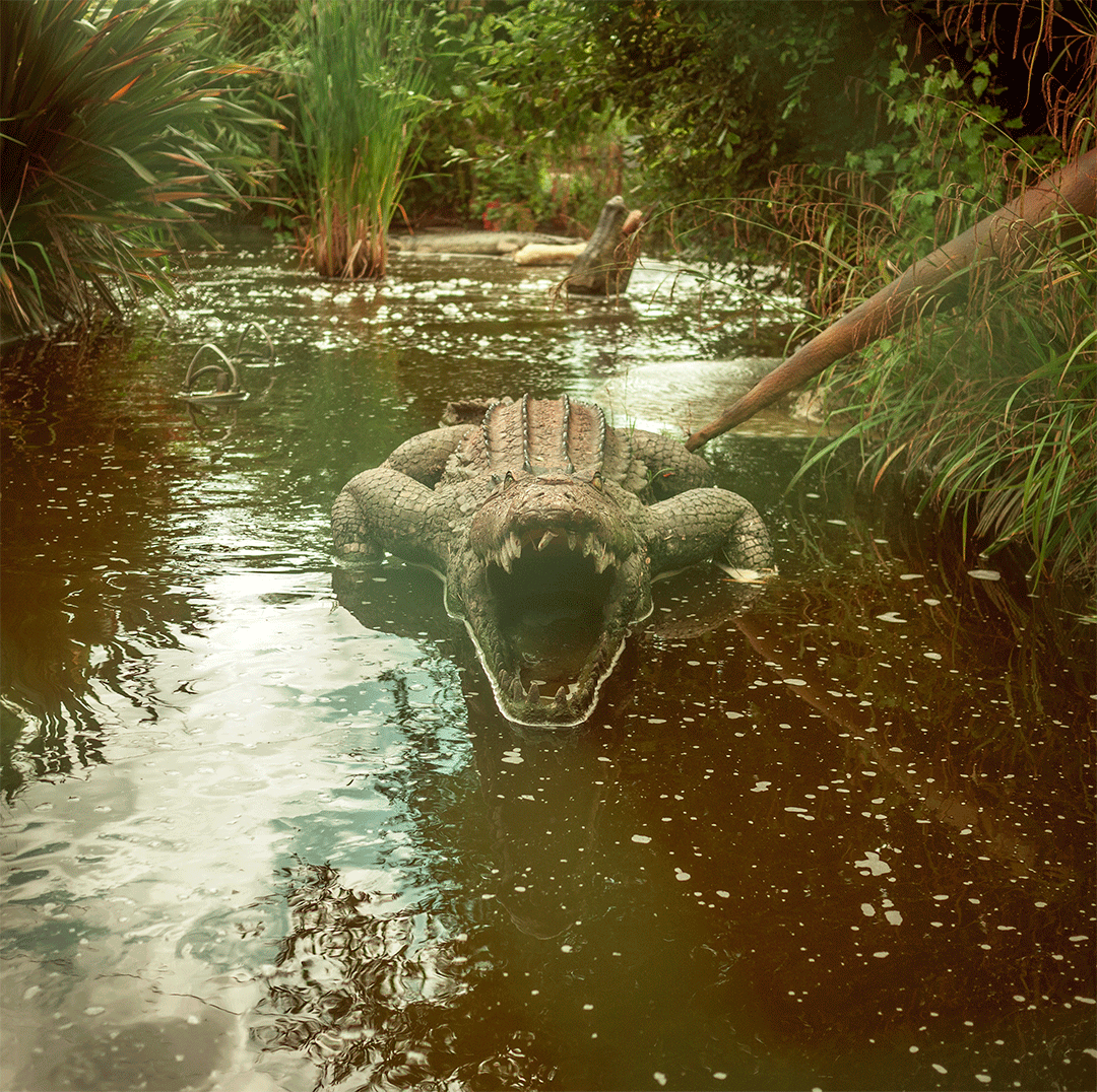 Alligator Swamp GIF by Nino Paulito