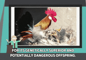 200.gif?cid=fc005b08ea748a889602d7d5c4fcca34089b7cf06d90440e&rid=200.gif&ct=g
