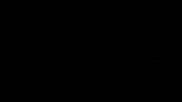 Happy Eric Cartman GIF by South Park 