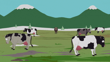 mountain valley GIF by South Park 