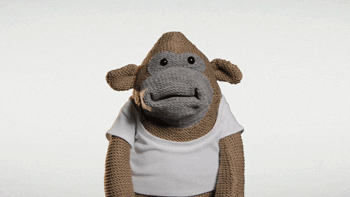 Video gif. A monkey puppet opens its mouth wide in shock, looks left and right, and ducks.