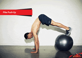 soner fitbull GIF