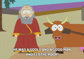 middle east cow GIF by South Park 