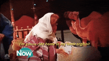 im gunna ride home in my lamb orghini