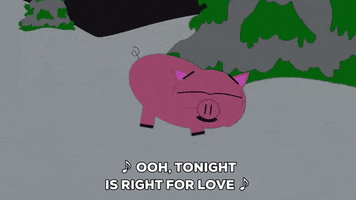 pig GIF by South Park 