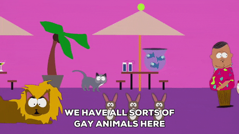 Gay-lion GIFs - Get the best GIF on GIPHY