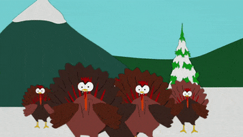 turkey GIF by South Park 