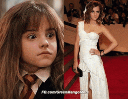 greenmangomore harry potter GIF
