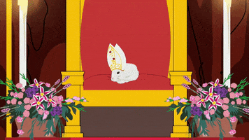 peter rabbit pope GIF by South Park 