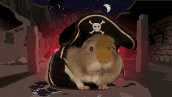 guinea pig costume GIF by South Park