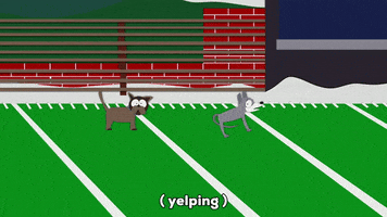 dogs waiting GIF by South Park 