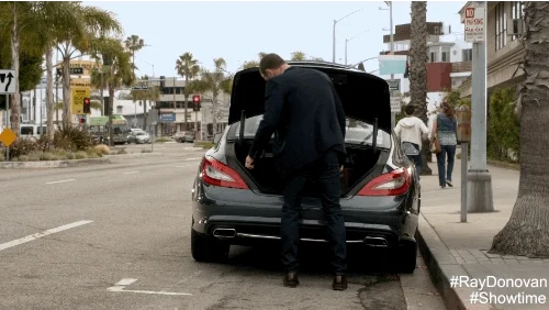 youre dead ray donovan GIF by Showtime