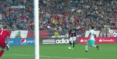 andrewmlaird assist bunbury GIF