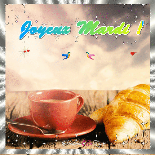 SB-CM bonjour mardi GIF