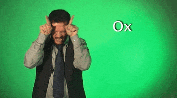 sign language ox GIF by Sign with Robert