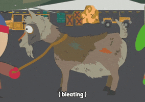 Bleating Stan Marsh GIF by South Park