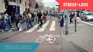 gerkotempelman bike amsterdam danger stressless GIF