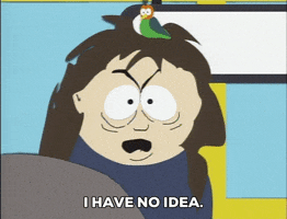 I Have No Idea GIF by South Park