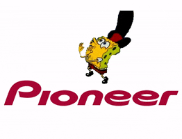 audio spongebob audio pioneer pioneers GIF