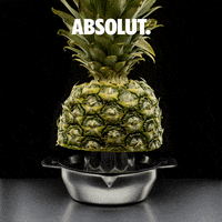 200.gif?cid=fc005b085e401dff08528c28e74d60434831f1eb83827993&rid=200.gif&ct=g
