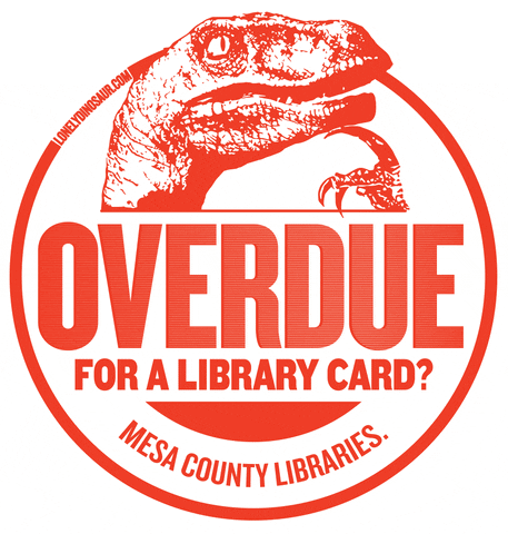 shanachiecarroll  GIF