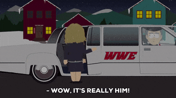 vince mcmahon wwe GIF by South Park 