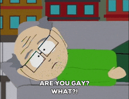 South Park gif. Mr. Garrison leans up from his reclined position on a couch and angrily says, “Are you gay? What!?”