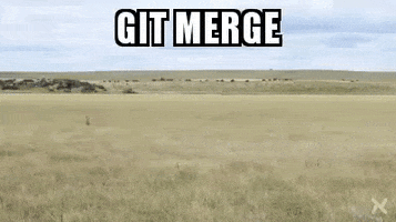 gioropeza code git github merge GIF