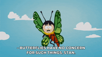 fly butterfly GIF by South Park 