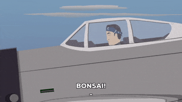 japan airplane GIF by South Park 
