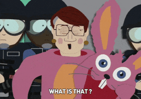 bunny costume GIF by South Park 