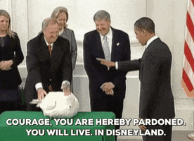 barack obama courage you are hereby pardoned you will live in disneyland GIF by Obama