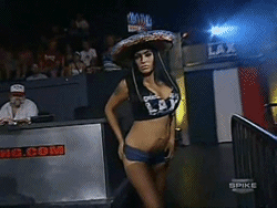 bullock  GIF