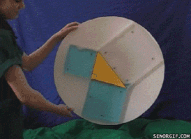 ruudcaris  GIF