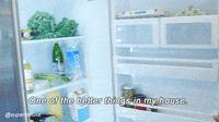 brandon miller lol GIF by Super Deluxe