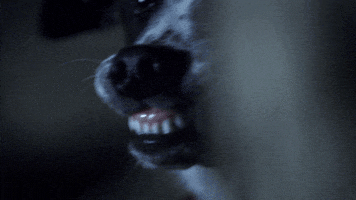angry paranormal witness GIF by SYFY