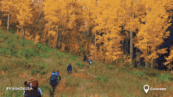 Great Outdoors Fall GIF by Visite os USA