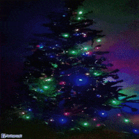 christmas color GIF by Psyklon