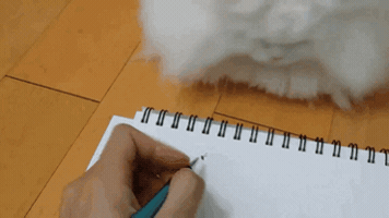 damncake  GIF
