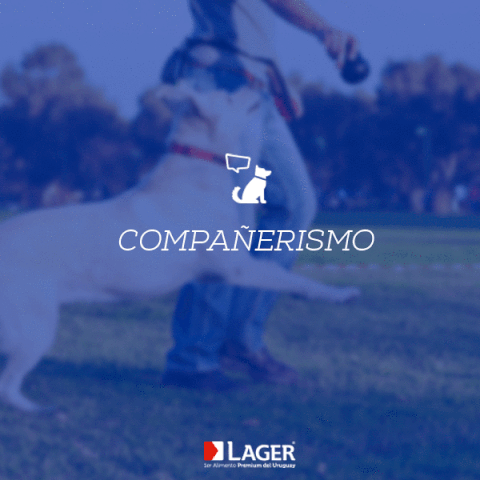 lager  GIF