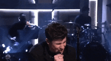 Shawn Mendes Snl GIF by Saturday Night Live