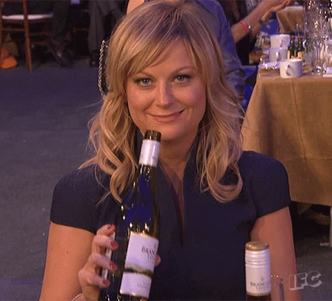 amy poehler drinking GIF by IFC