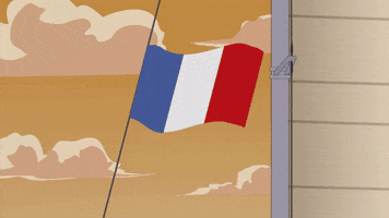 flag GIF by South Park