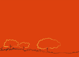 Curso Autogestao GIF