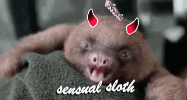 sensual sloth websprint GIF